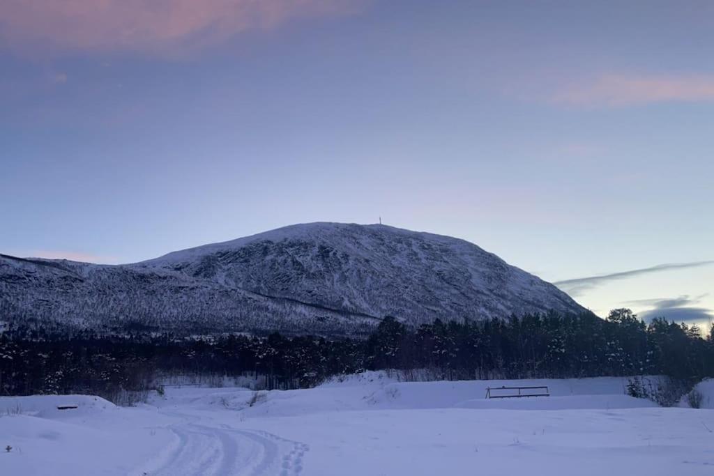 Koselig Leilighet , Med Parkering Og Ski In &Out. Lejlighed Oppdal Eksteriør billede